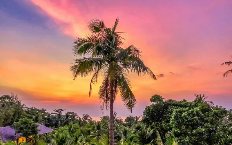 Kinh nghiệm Du lịch Phú Quốc